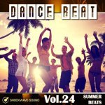  Dance Beat Vol. 24: Summer Beats Picture