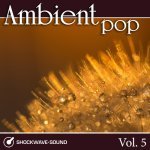  Ambient Pop, Vol. 5 Picture