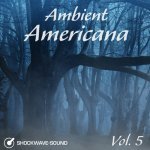  Ambient Americana, Vol. 5 Picture