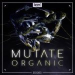 Boom Mutate Organic Designed Picture