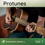 Music collection: Protunes, Vol. 1