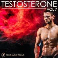 Music collection: Testosterone, Vol. 7
