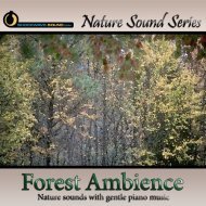 Relaxing Forest Ambience - with relaxing music