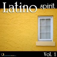 Music collection: Latino Spirit, Vol. 1