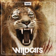 Sound-FX collection: Boom Wildcats - Tigers & Lions