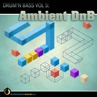 Music collection: Drum 'n Bass Vol. 5 - Ambient DnB