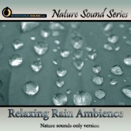 Relaxing Rain Ambience - nature sounds only version