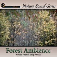 Relaxing Forest Ambience - nature sounds only version