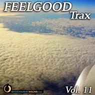 Music collection: Feelgood Trax, Vol. 11