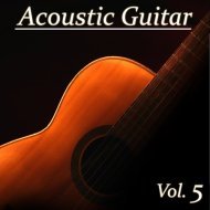 Music collection: Acoustic Guitar, Vol. 5