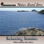 Relaxing Seaside Ambience - nature sounds only version