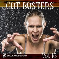 Music collection: Gut Busters Vol. 16