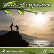 Music collection: Tracks of Inspiration, Vol. 11