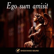 Music collection: Ego sum amisit