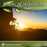 Music collection: Tracks of Inspiration, Vol. 13