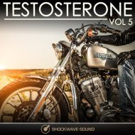 Music collection: Testosterone, Vol. 5