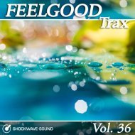 Music collection: Feelgood Trax, Vol. 36