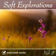 Soft Explorations, Vol. 8