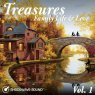  Treasures - Family Life & Love, Vol. 1 Picture