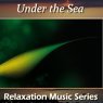 Under the Sea Picture
