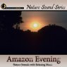 Relaxing Amazon Evening - with relaxing music Picture