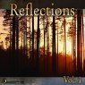  Reflections, Vol. 1 Picture