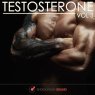  Testosterone, Vol. 3 Picture