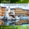  Classical Chamber Strings, Vol. 5 Picture