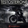  Testosterone, Vol. 4 Picture