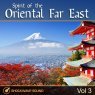  Spirit of the Oriental Far East, Vol. 3 Picture