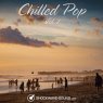  Chilled Pop, Vol. 2 Picture