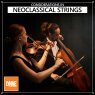  Considerations in Neoclassical Strings Picture